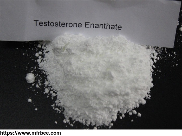 testosterone_enanthaterawsteroid_at_chembj_com