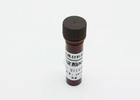 Acridinium salt      NSP-SA     CAS211106-69-3