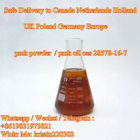 Pmk powder,pmk oil,pmk ethyl glycidate,28578-16-7 to CA,NL,EU,PL,AU