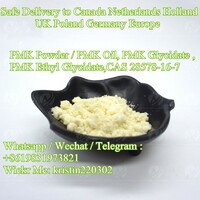 CAS 28578-16-7 PMK Powder PMK Ethyl Glycidate