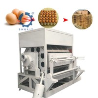 Egg Tray Machine in China