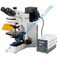 more images of XSZ-EF40 fluorescence Microscope