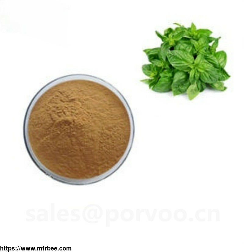 natural_high_quality_holy_basil_extract_holy_basil_extract_anti_bacterial_powdered_holy_basil_extract