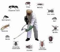 Insecticide/ Public Health