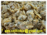 more images of frozen cooked clam meat, mussels, scallop, snail