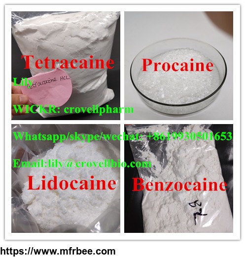procaine_cas_59_46_1_lidocaine_benzocaine_tetracaine_wickr_crovellpharm