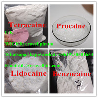 procaine cas 59-46-1 lidocaine benzocaine tetracaine (WICKR: crovellpharm