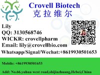 more images of CAS 50-63-5 Chloroquine Diphosphate (lily WICKR: crovellpharm