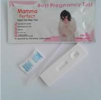 Medical Equipment One Step HCG Pregnancy Test Cassette