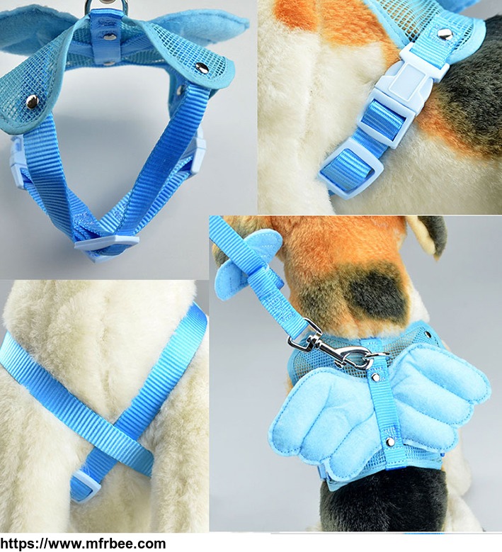 led_dog_collar_leash_sets