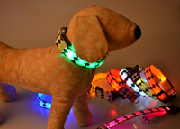 more images of LED Nylon Dog Collar