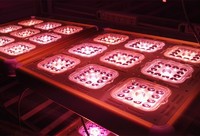 more images of HP COB Modular LED Grow Light
