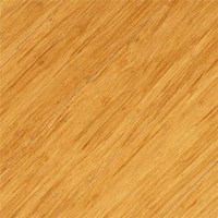 Dasso Indoor 2ply Strand Woven Bamboo Flooring , N