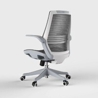 more images of Sihoo M59B Grey Ergonomic Compact Conference Room Chair