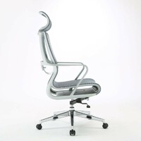 more images of Sihoo M60 Blue Mesh Ergonomic Office Computer Chair for Sitting Long Hours