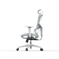 Sihoo M91A Grey Frame Ergonomic Guest Office Chair with Adjustable Arms, Lumbar Support and PP Base