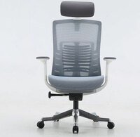 more images of Sihoo X1 High Back Mesh Ergonomic Office Chair