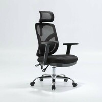 Sihoo M56 Ergonomic Black Mesh High Back Rolling Office Chair with Arms