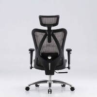 more images of Sihoo M57 High Quality Ergonomic High Back Black Swivel Office Chair With Arms
