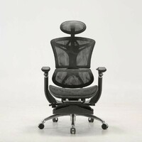 more images of Sihoo M97B High Back Mesh Ergonomi Chair with Comfortable Headrest and Back Support