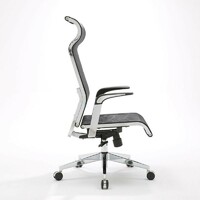 more images of Sihoo X1 High Back Mesh Ergonomic Office Chair