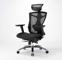 more images of Boss Chair