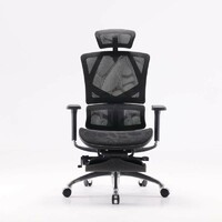 Sihoo A2B Black Mesh Ergonomic Office Chair with 3D Armrest and Neck Support