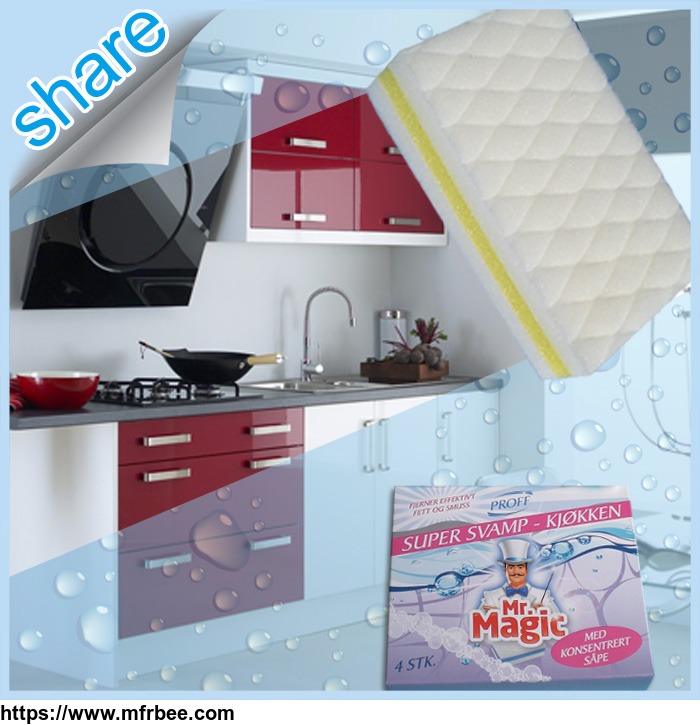 high_demand_products_kitchen_appliace_cleaning_sponge