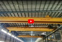more images of Double Girder Overhead Crane