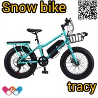 more images of snow bike Jaguar china factory supply