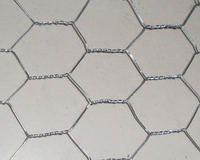 Chicken wire mesh - hexagonal wire netting for plastering