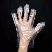 more images of PE Glove
