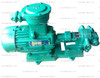 more images of Electric Gear Oil Pump