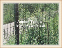 more images of Welded Wire Fences/Vinyl Coated Welded Wire Fences/Wire Fencing Panels