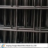 more images of Black Welded Wire Mesh