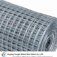 more images of Galvanized Wire Mesh