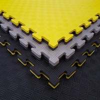 more images of EVA interlocking 3cm soft foam floor puzzle Japanese taekwondo judo mat
