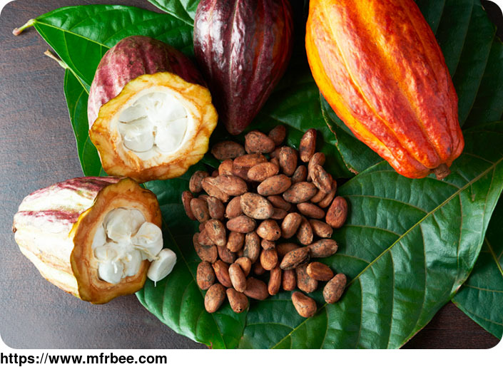 bulk_raw_cocoa_wholesale