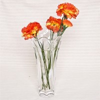 more images of Cylinder Shape Flower Glass Vase Home Decoration Tall Glass Vases