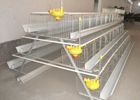 more images of Chicken Cage