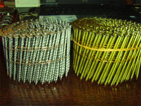 Collated nails /coil nails /wire coil nails