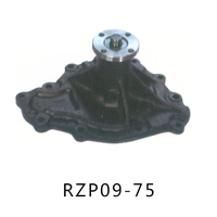 RZP09-75
