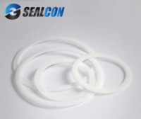more images of PTFE Seal