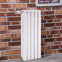 more images of White panel cast iron radiator for Italy and Asia