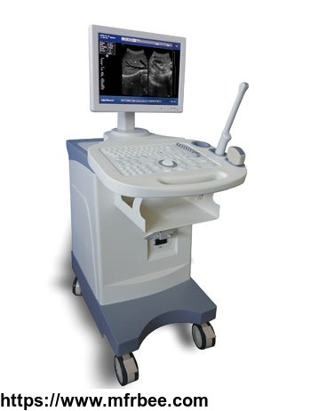 trolly_build_in_black_and_whitel_ultrasound_scanner_bw_5plus_with_15_inch_led_screen