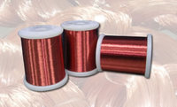 more images of Mild Steel Binding Strip Wire