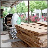 High frequency vacuum wood drying machines