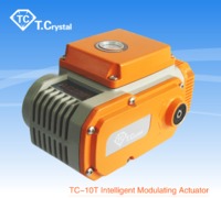 more images of TCN-05 electric actuator