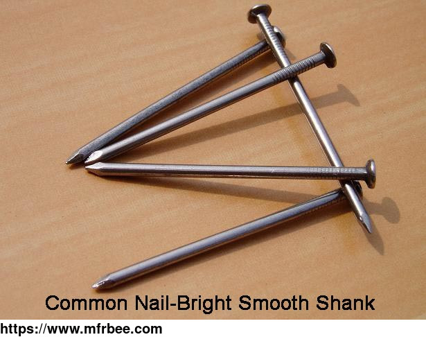 common_roofing_nails_with_smooth_shank_flat_head