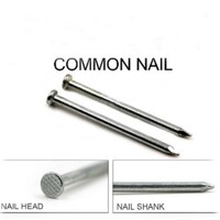 more images of common roofing nails with smooth shank flat head